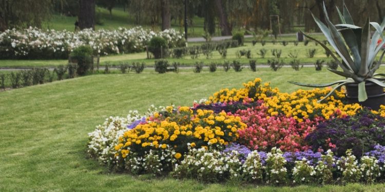 Park Sienkiewicza do przebudowy